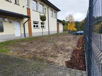 widok zagospodarowanego terenu z nasadzeniami